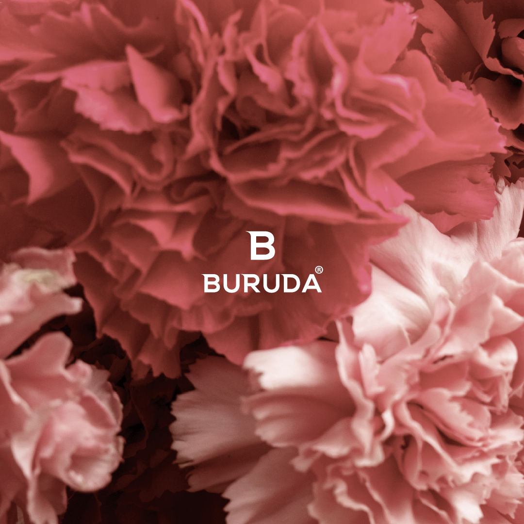 【母の日2024・2本セット】BURUDA ショコラテリーヌ【1000本限定 特装パッケージ】